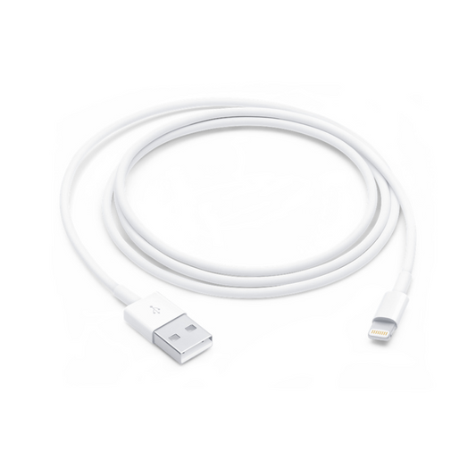 Câble USB vers Lightning (1m)
